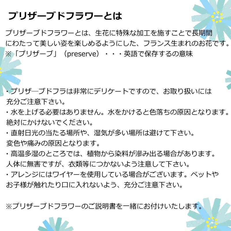 Appericiate02 ～アプリシエイト02～