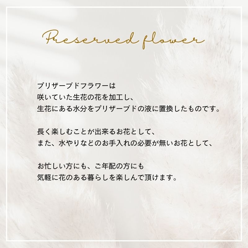 プリザーブドフラワー 花 プレゼント ギフト 誕生日 フラワーアレンジメント プリザ プリザーブド アレンジ プレゼント おしゃれ p お花