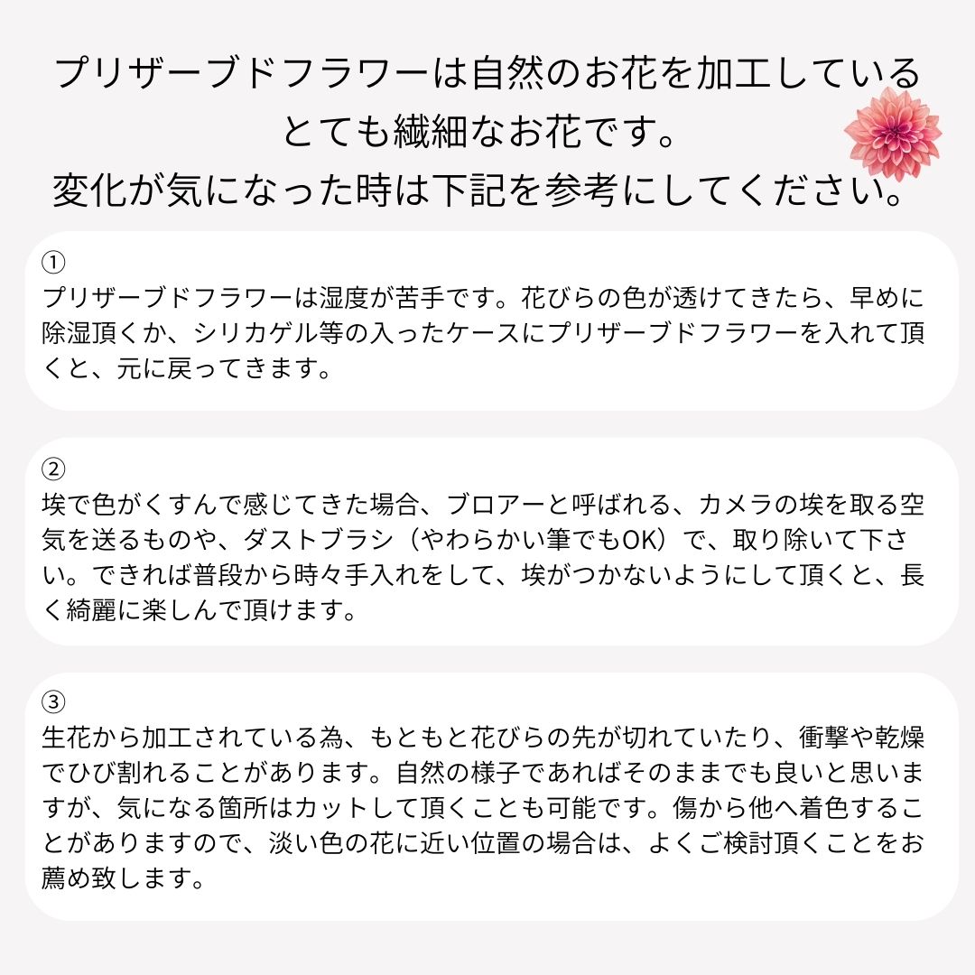 プリザーブドフラワー 花 プレゼント ギフト 誕生日 フラワーアレンジメント プリザ プリザーブド アレンジ プレゼント おしゃれ p お花