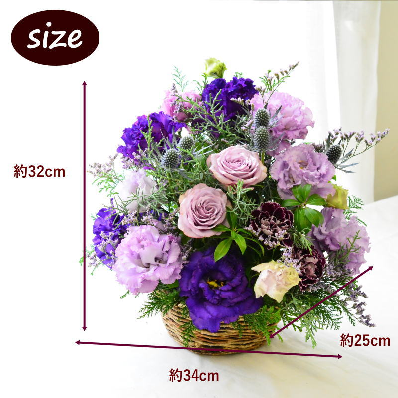 Amethyst Gray 05802 ~アメジスト グレイ~