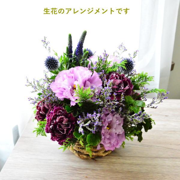 RaisinBlue04001 ~レイズン・ブルー04001~