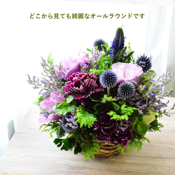 RaisinBlue04001 ~レイズン・ブルー04001~