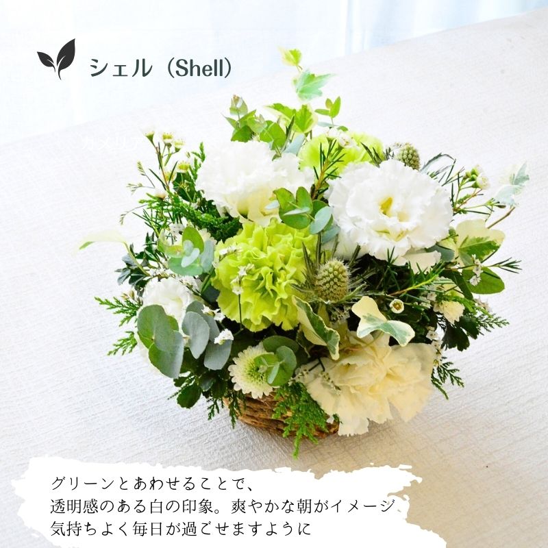 【Raisinブルー】大人っぽい紫のお花を森の中にいるようなグリーンいっぱいのアレンジでお作りします。オールラウンドタイプ。アガット色、シェル色も加え3色からお選びいただきます