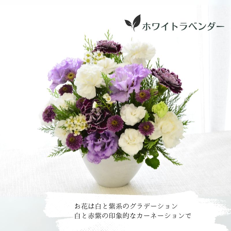 【お供え花　～カーネーションを～】