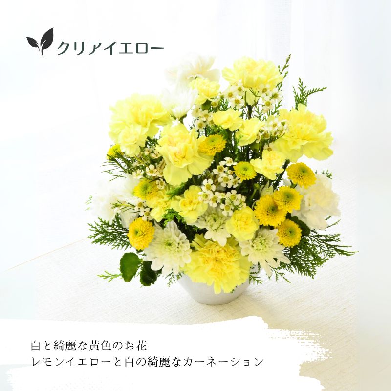 【お供え花　～カーネーションを～】