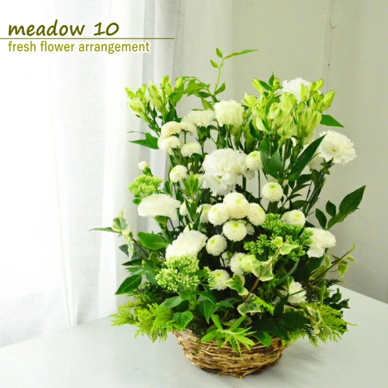 meadow 10