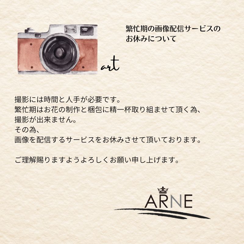 【フォトdeブーケ  ～ラウンドタイプ～】