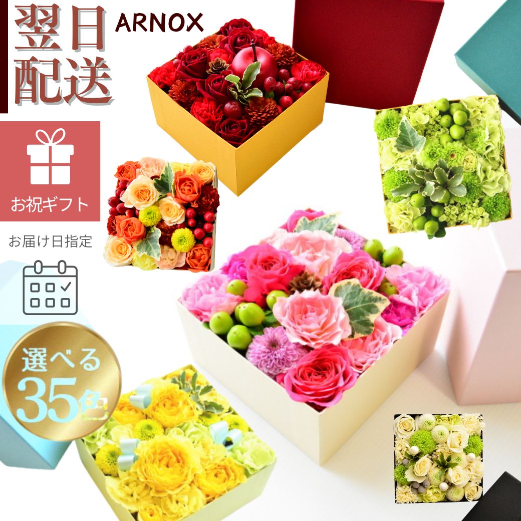【ARNOX～アルノックス～】