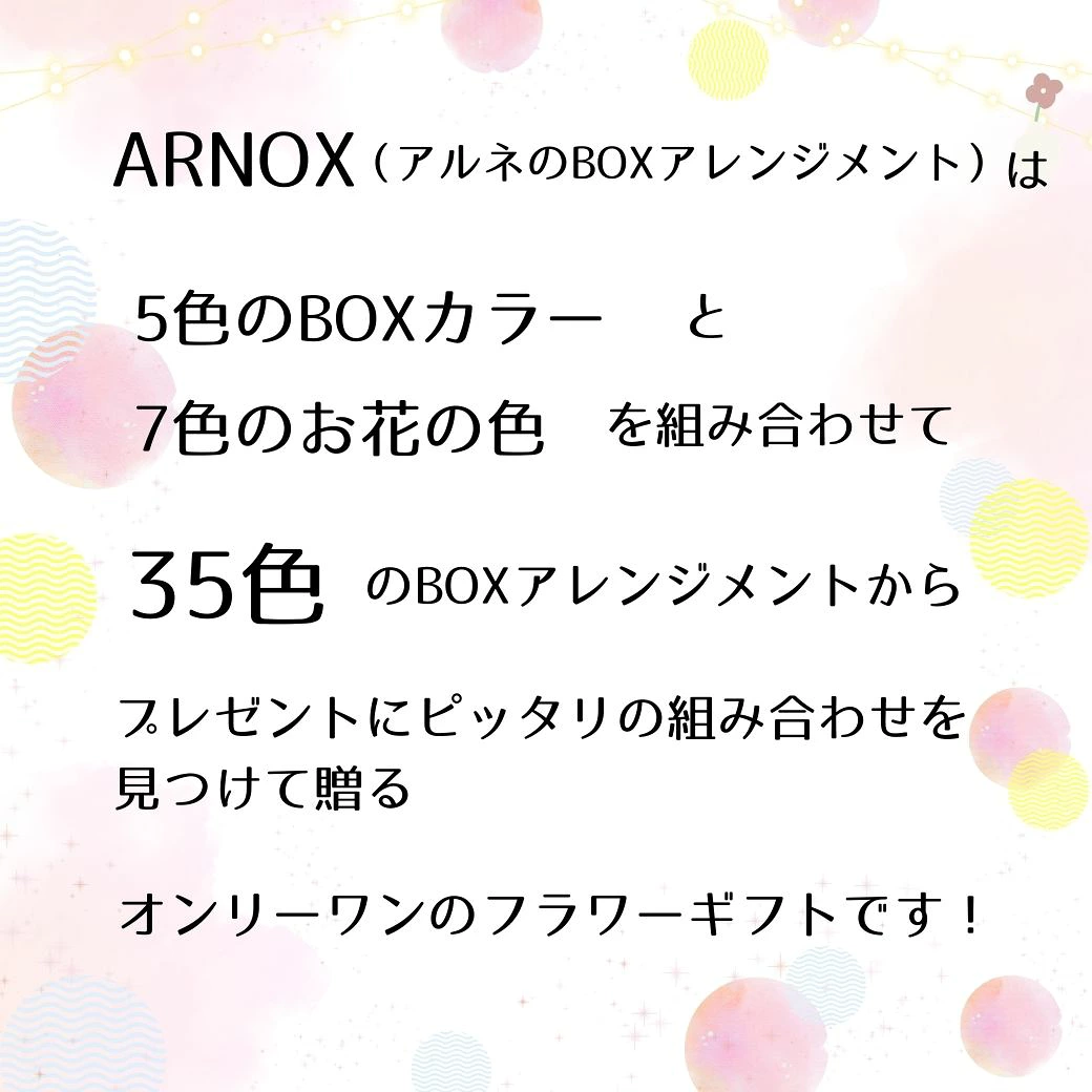 【ARNOX～アルノックス～】