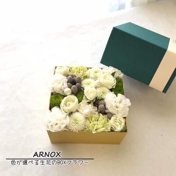 【ARNOX～アルノックス～】