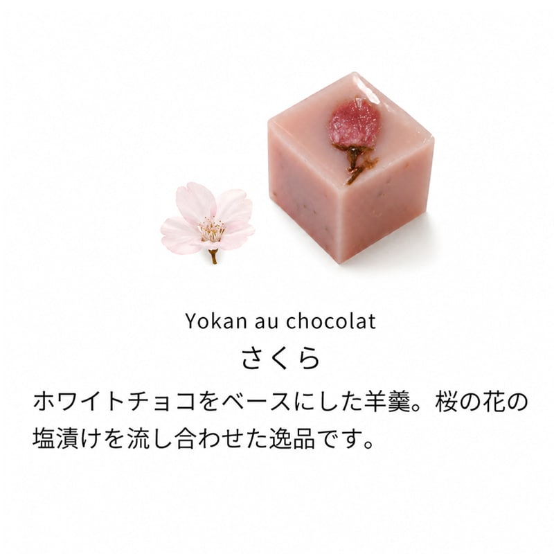 匠あんこ堂 キューブ羊羹 「ISSUN SANJOU（一寸参上）」 ショコラ羊羹