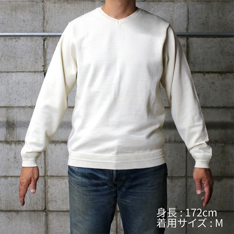 超美品　BRIEFING ネイビー セーター Mサイズ 東大阪繊維研究所(HOFI) 18.5μmウール Vネックセーター HOFI-046 | 東