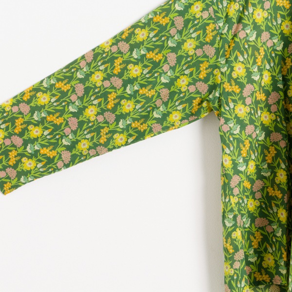 �֥饦�����֥롼�ߥ󥰥�������