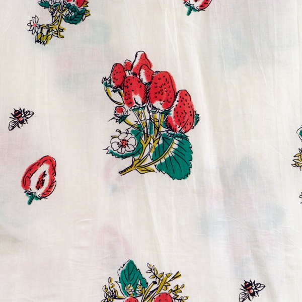 �֥饦�������ȥ��٥꡼�ӡ�