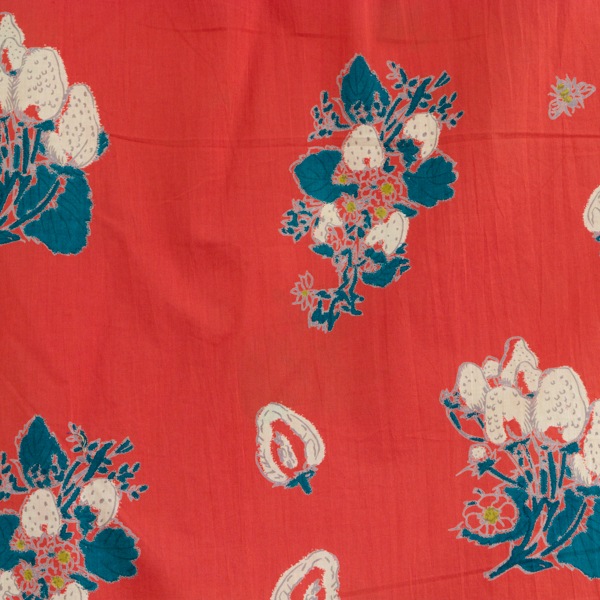 �֥饦�������ȥ��٥꡼�ӡ�