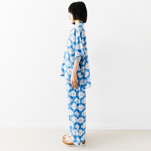 �֥饦����UFO