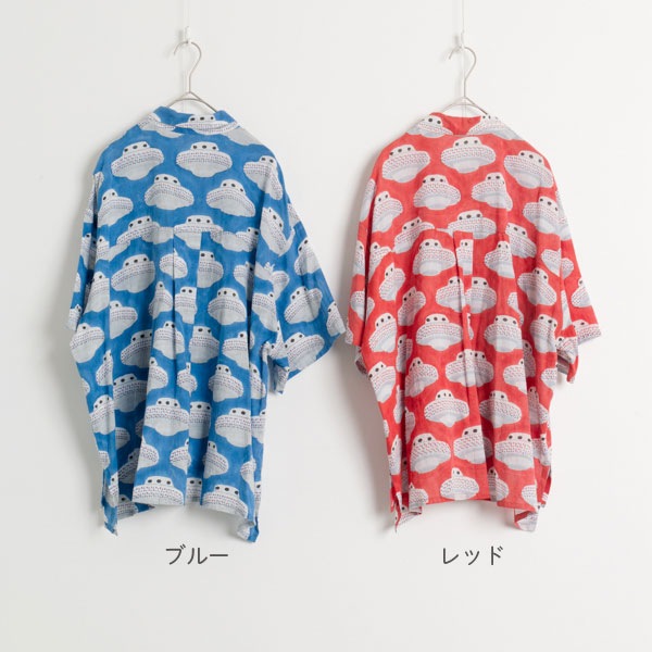 �֥饦����UFO