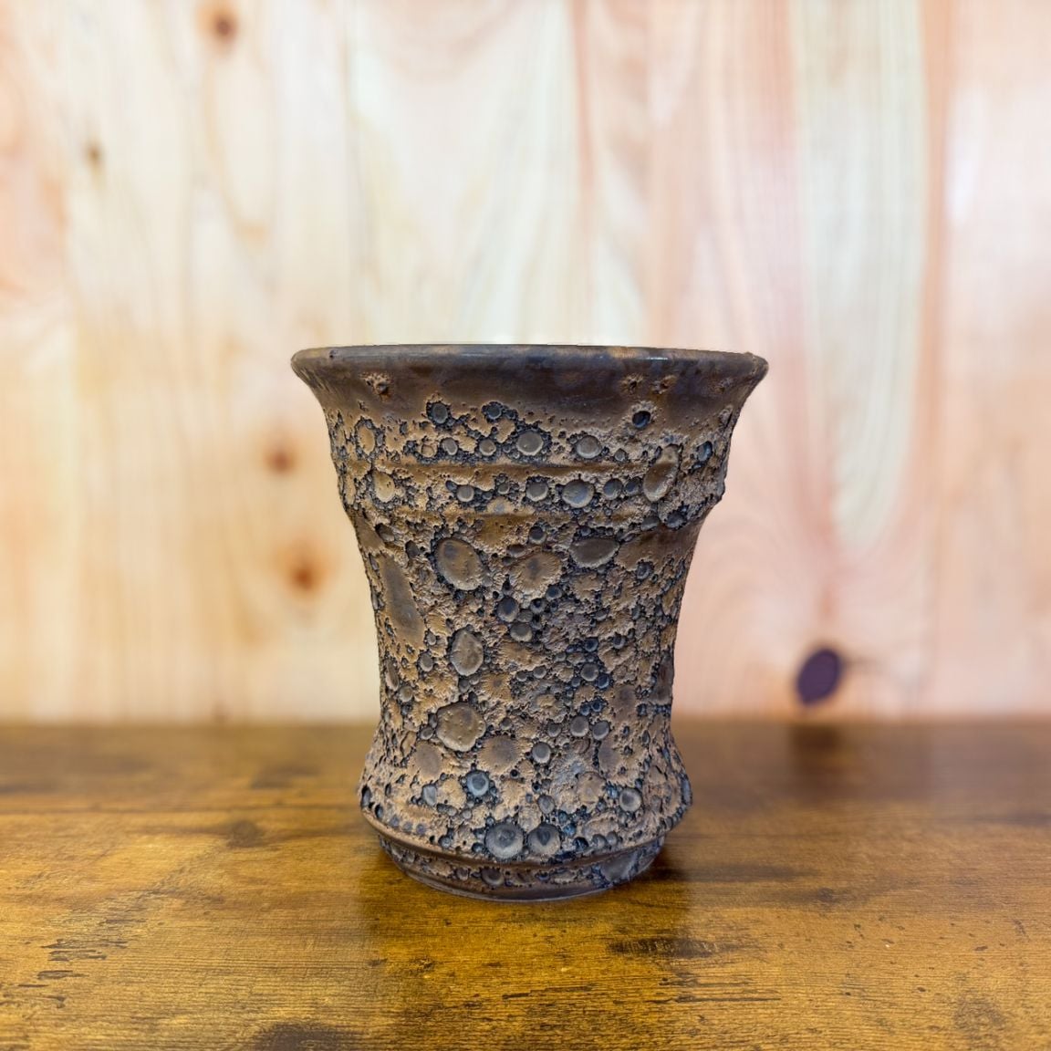 塊根植物　パキプス　作家鉢付 オペルクリカリア・パキプス – TaiShoDo ONLINE SHOP