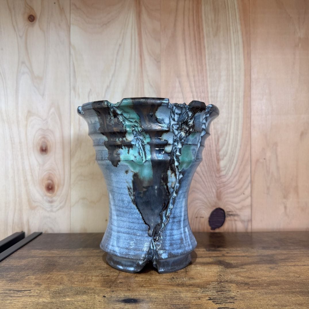 黒釉シリーズ】5.5号鉢｜塊根植物 パキプス 灌木系植物｜高さ約17.5cm