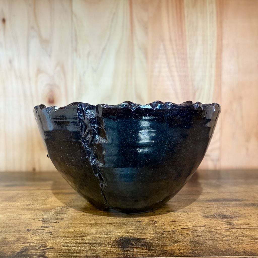 中型 塊根植物 黒鉢　パキプス 9月も終わりに近づき、少しずつ涼しくなってきましたね😎 今日は