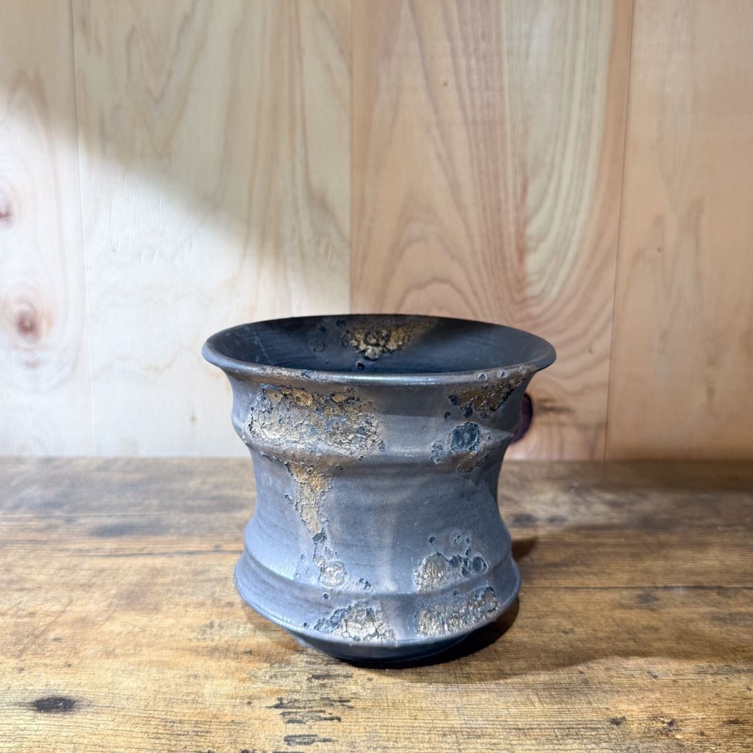 塊根植物 ジオメトリックポット付き 約20cm 塊根植物 ジオメトリックポット付き 約20cm すべての商品 | 塊根