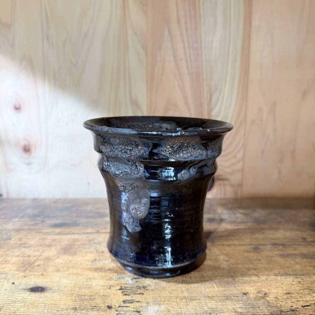 すべての商品 | 塊根リーダーズ オンラインショップ