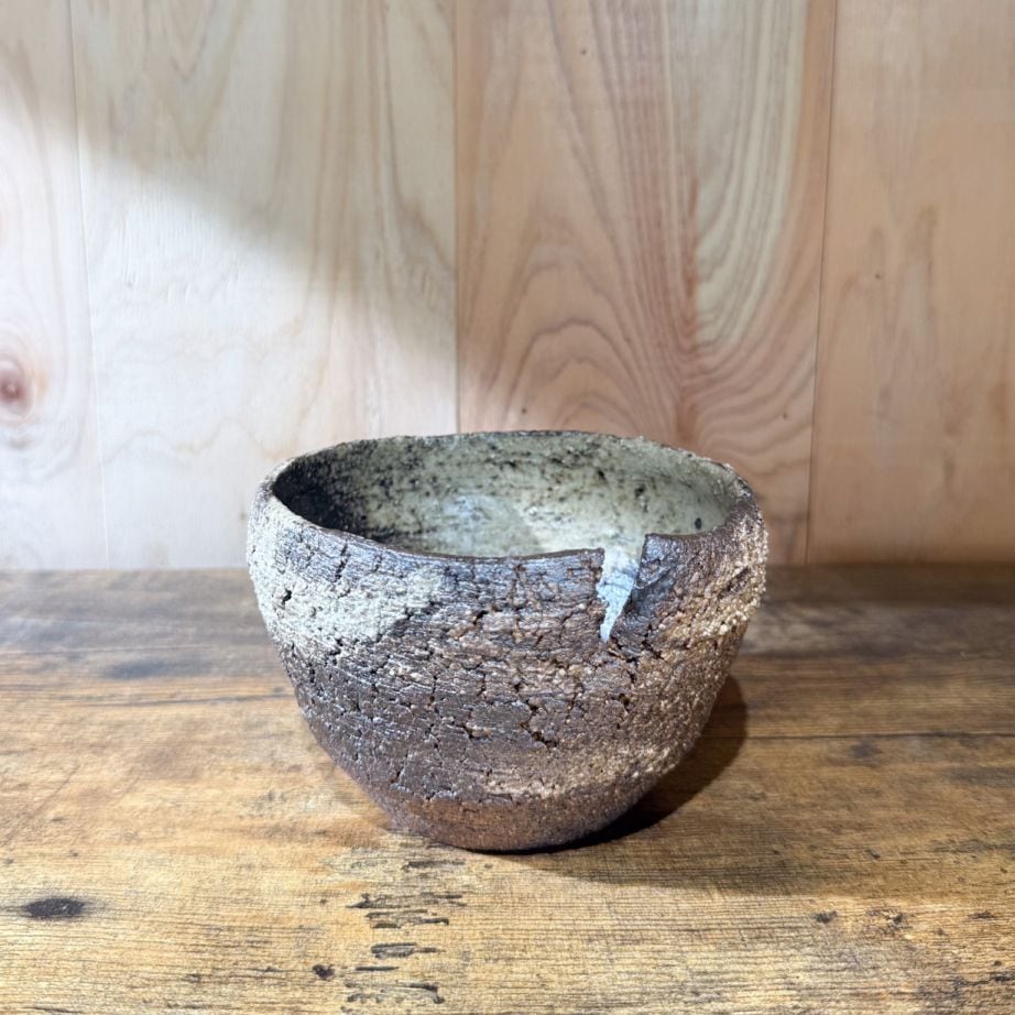 GOODS,植物鉢 | 塊根リーダーズ オンラインショップ