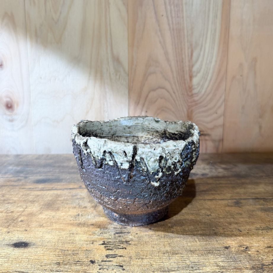 m&m masses 鉢皿 塊根植物 アガベ ゴールド 入手困難 GOODS,植物鉢