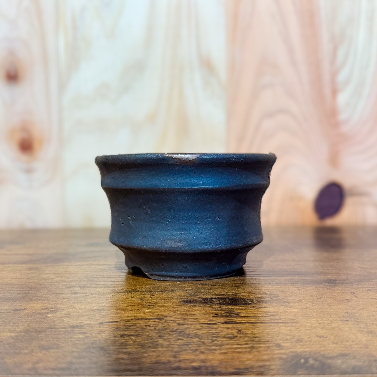 黒金銀河鉢・Black & Gold Garaxy】3.3号鉢 ｜塊根植物 アガベ