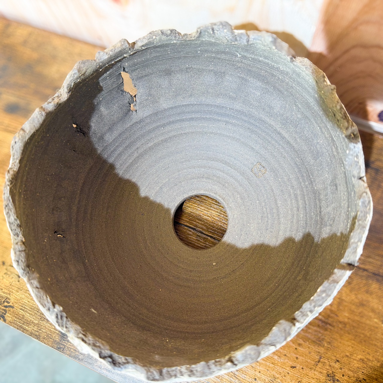 炸裂紋鉢 大地の鼓動】7.2号鉢 ｜塊根植物 グラキリス アガベ ｜高さ約