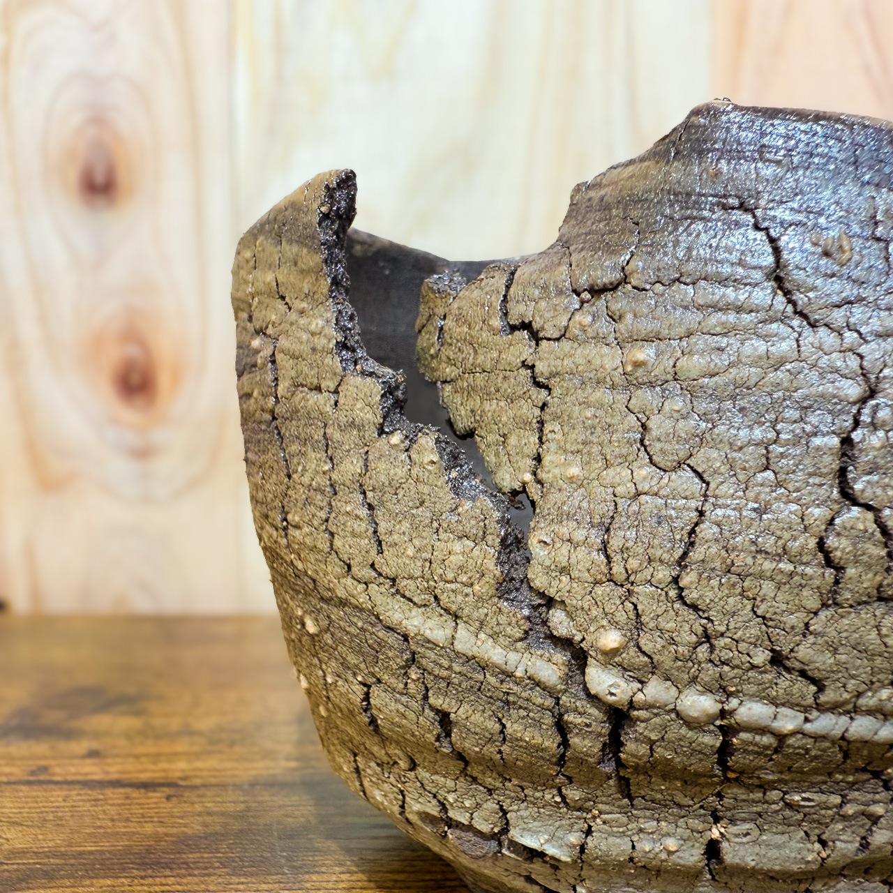 炸裂紋鉢 大地の鼓動】3.8号鉢｜塊根植物 グラキリス アガベ 小型の