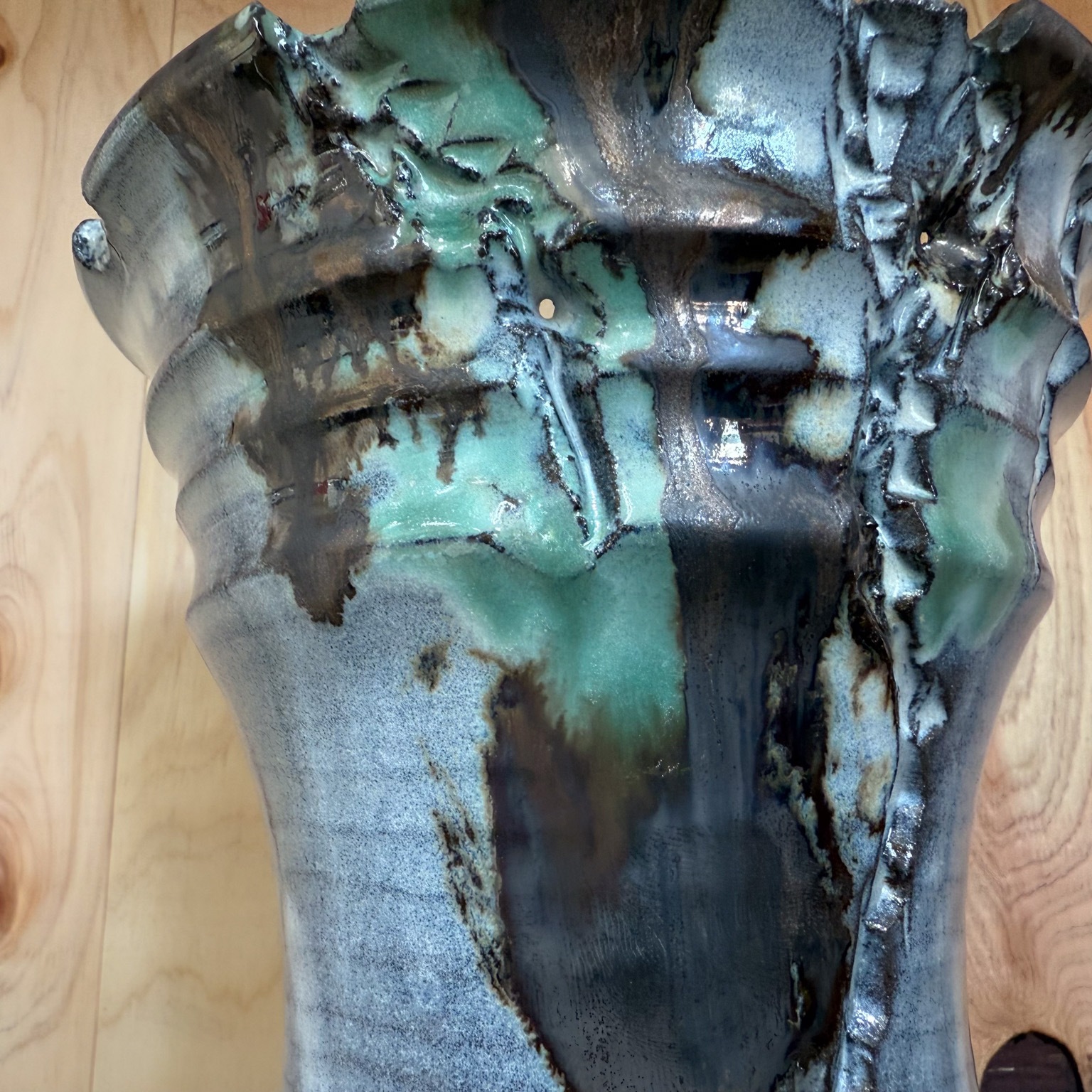 中型 塊根植物 黒鉢　パキプス 塊根植物 オペルクリカリア パキプス 4.5号ロング黒鉢(現品