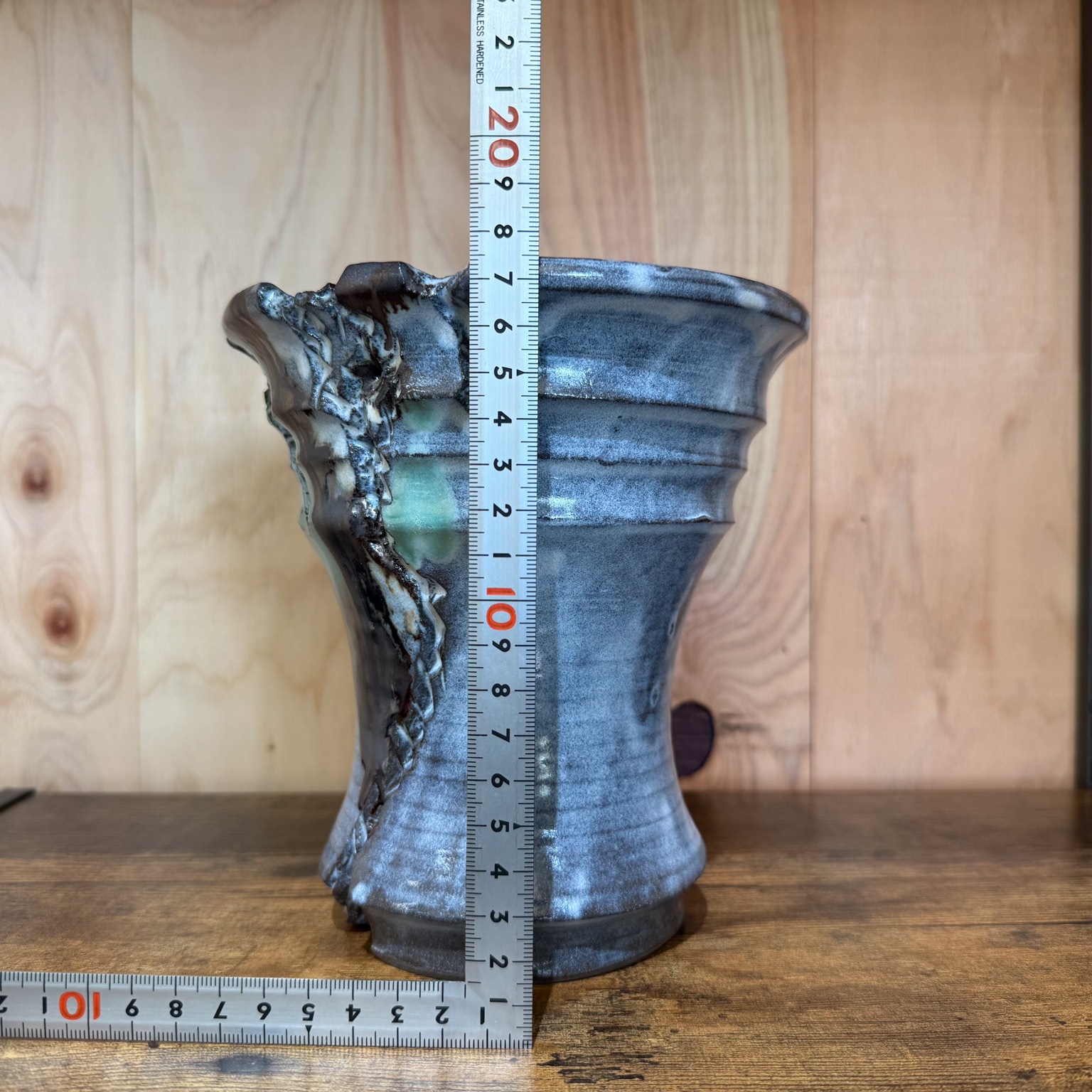 中型 塊根植物 黒鉢　パキプス 塊根植物 オペルクリカリア パキプス 4.5号ロング黒鉢(現品