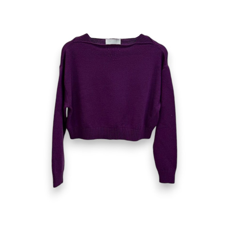 TAN / TAN LAMESWWOL WASHBLE CROPPED SWEATER