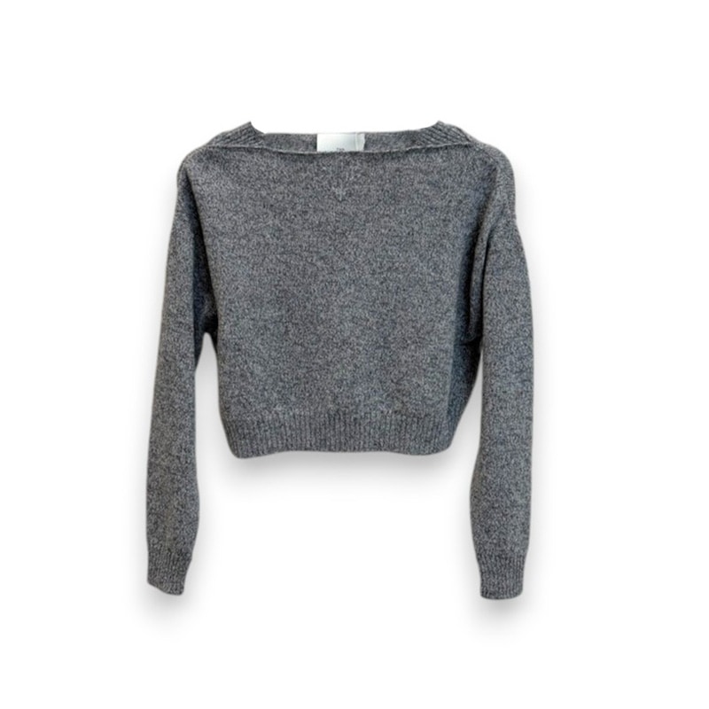 TAN / TAN LAMESWWOL WASHBLE CROPPED SWEATER