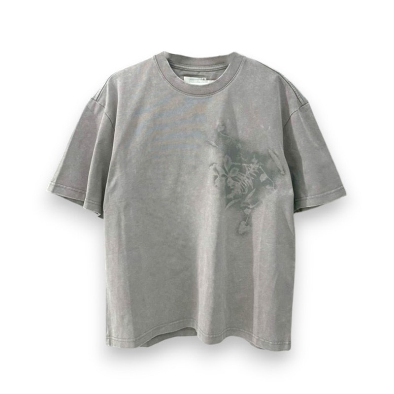 Feng Chen Wang / FCW Spray painted plants dye tee