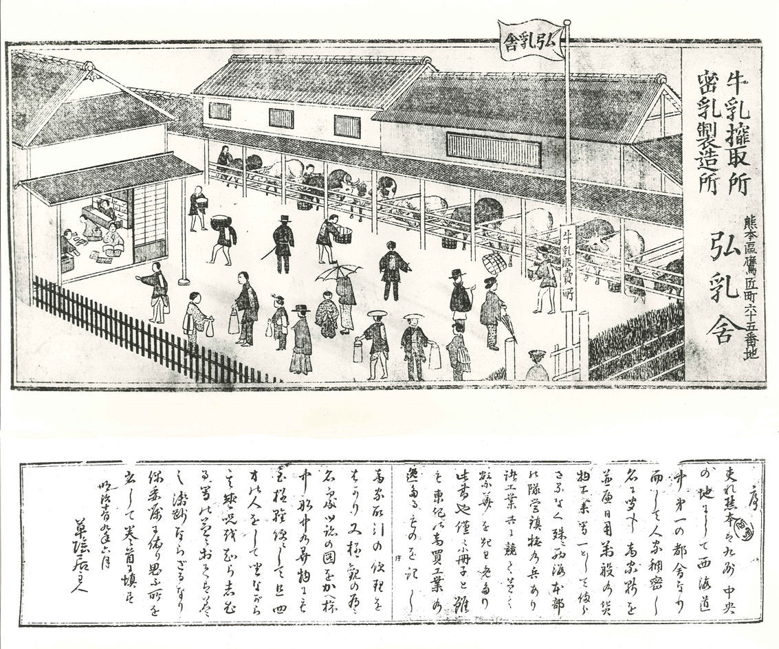 äꥷ塼ͤ碌ʤʤ6ġ꡼3ġ