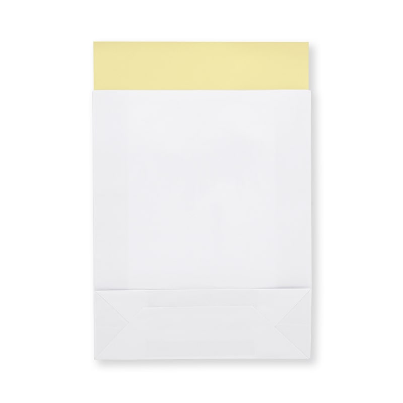 ヘイコー 宅配袋 PP貼り 260×85×320mm 白無地  10枚入/袋×10袋 (合計100枚入)