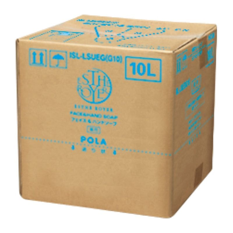 POLA(ポーラ)　エステロワイエ　薬用フォームソープN(フェイス＆ハンドソープ)