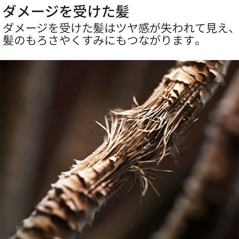 【数量限定】Dyson(ダイソン) ドライヤー supersonic オリジン(ブラック/ニッケル)　スタンド付