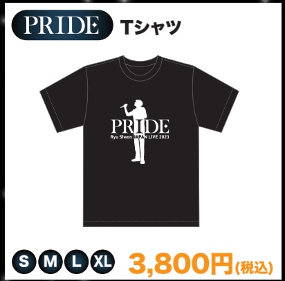 PRIDE���ԥ���ġʣӡ�