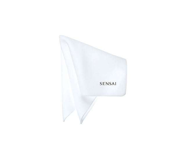 スポンジ　チーフ