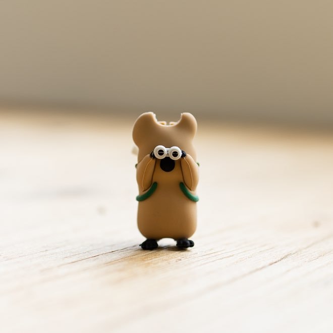 Quokka様 Dinotaeng] ケーブルキャップ - Quokka & BOBO in the Woods