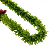 �ò�JL���꡼����������֥�쥤�����硼��/����FL101