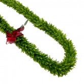 �ò�JL���꡼����������֥�쥤����������FL102