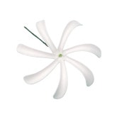 ò12cm ƥ ԥå/TF55