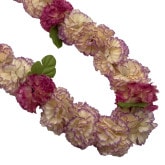 �ò�JL�����͡��������֥�쥤 �ޥ�����顼(���ߤκ߸ˤ�ǻ����ο��Ǥ�)����FL153