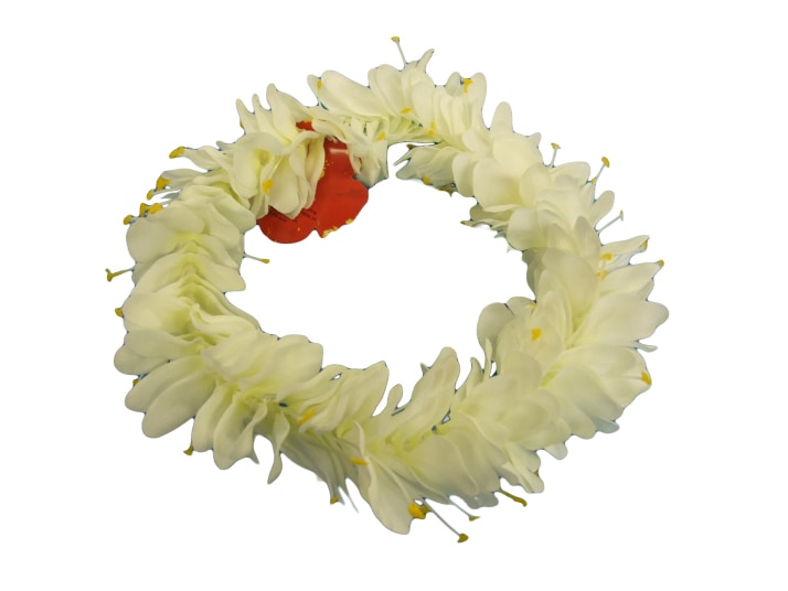 �ե���󥹡����ҥꥸ�󥸥㡼�ϥ�(�إåɥХ��) �ۥ磻��FH116