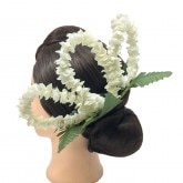 òKapalili ԥإ(ۥ磻)/HP291