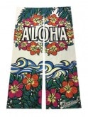 �����Î��ώŎɎڎݡ�ALOHA/����NR52
